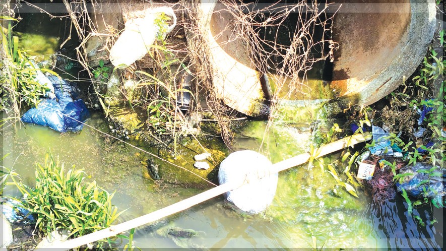 Citizens Demand Action as Untreated Sewage from Hospital Pollutes River Sal and Farmlands