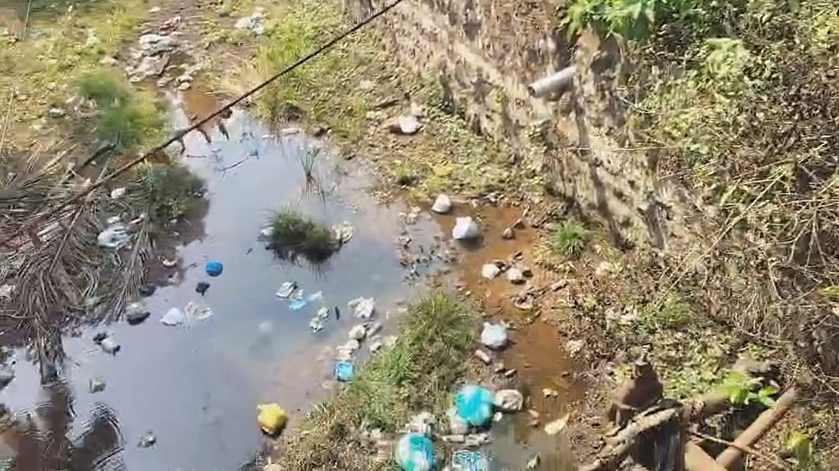 Citizens' Irresponsible Waste Disposal in River Creek Sparks Concern; Raia Panchayat Leader Leads Clean-Up Effort