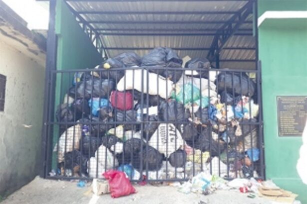 Citizens cry foul as uncollected garbage piles up in Raia’s MRF