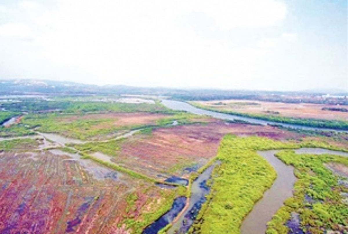 Citizens extend their support to Loutolim villagers in their fight to save khazan lands