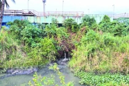 Citizens miffed as raw sewage from STP still    released into River Sal