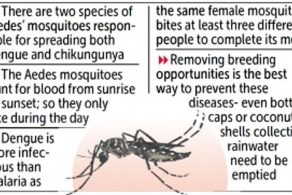 City docs raise awareness on spread of dengue, chikungunya