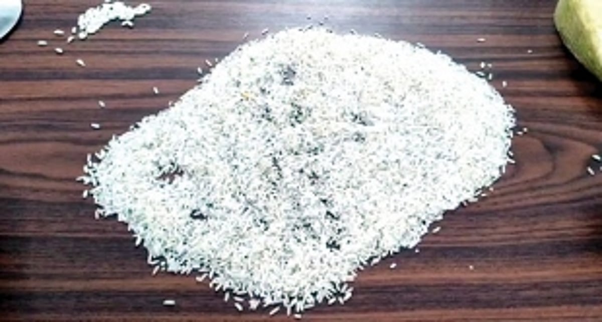 Civil Supplies Min says there’s no plastic rice, but will suspend officials if poor quality rice is found