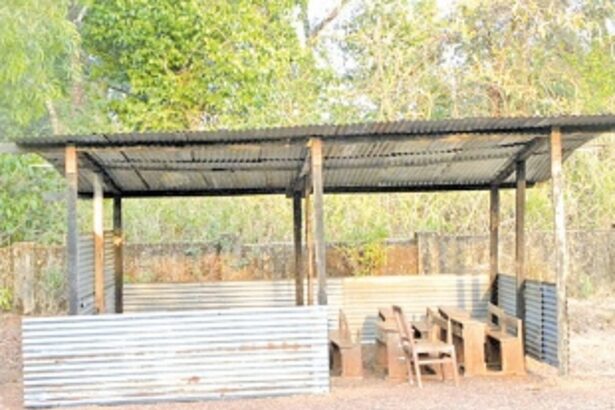 Classes in the open, but  no Shantiniketan this