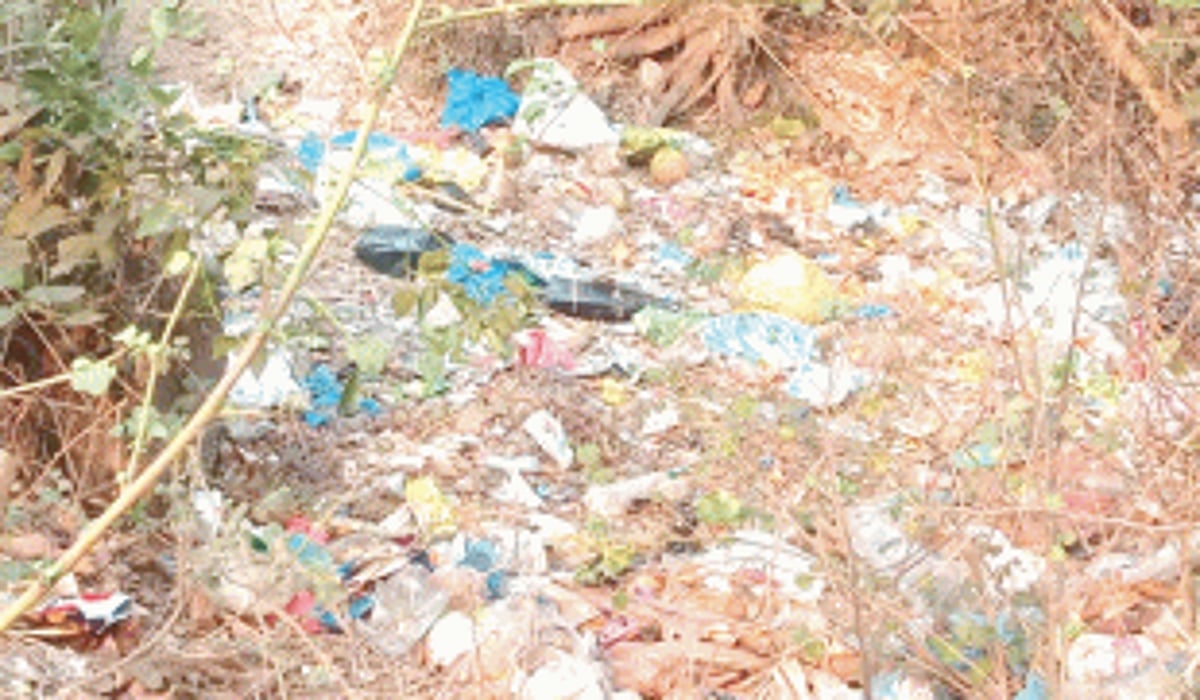 Clear garbage along the roadsides in Ponda Taluka