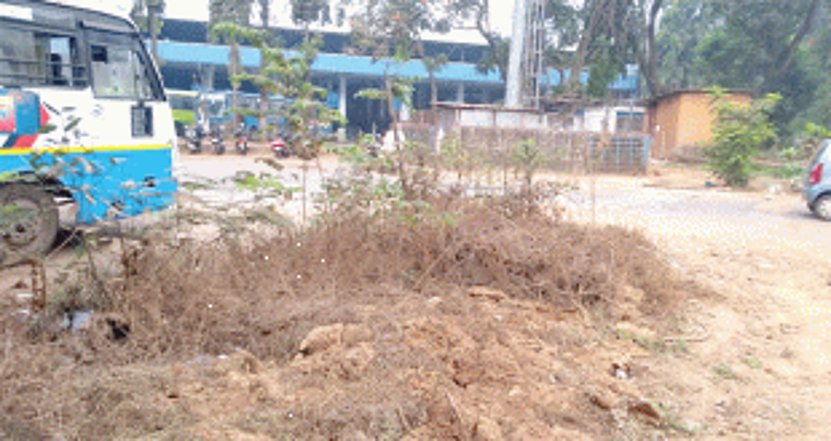 Clear mess in and around  Panjim bus stand area