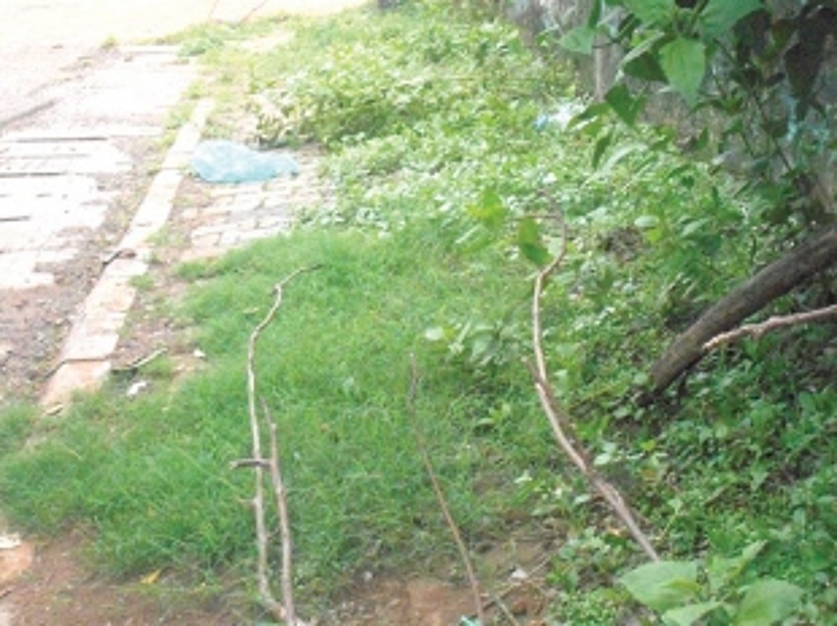 Clear pavements for pedestrians in Ponda