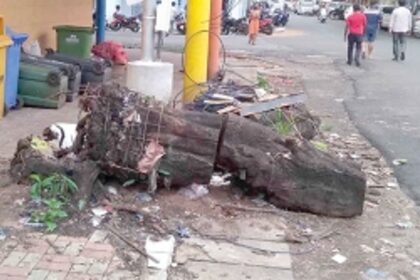 Clear the Panjim streets  of garbage and filth