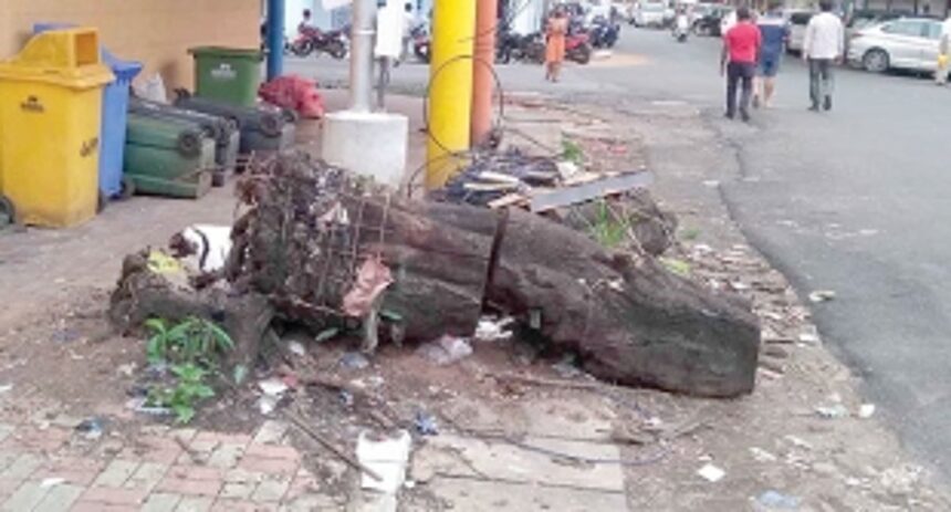 Clear the Panjim streets of garbage and filth