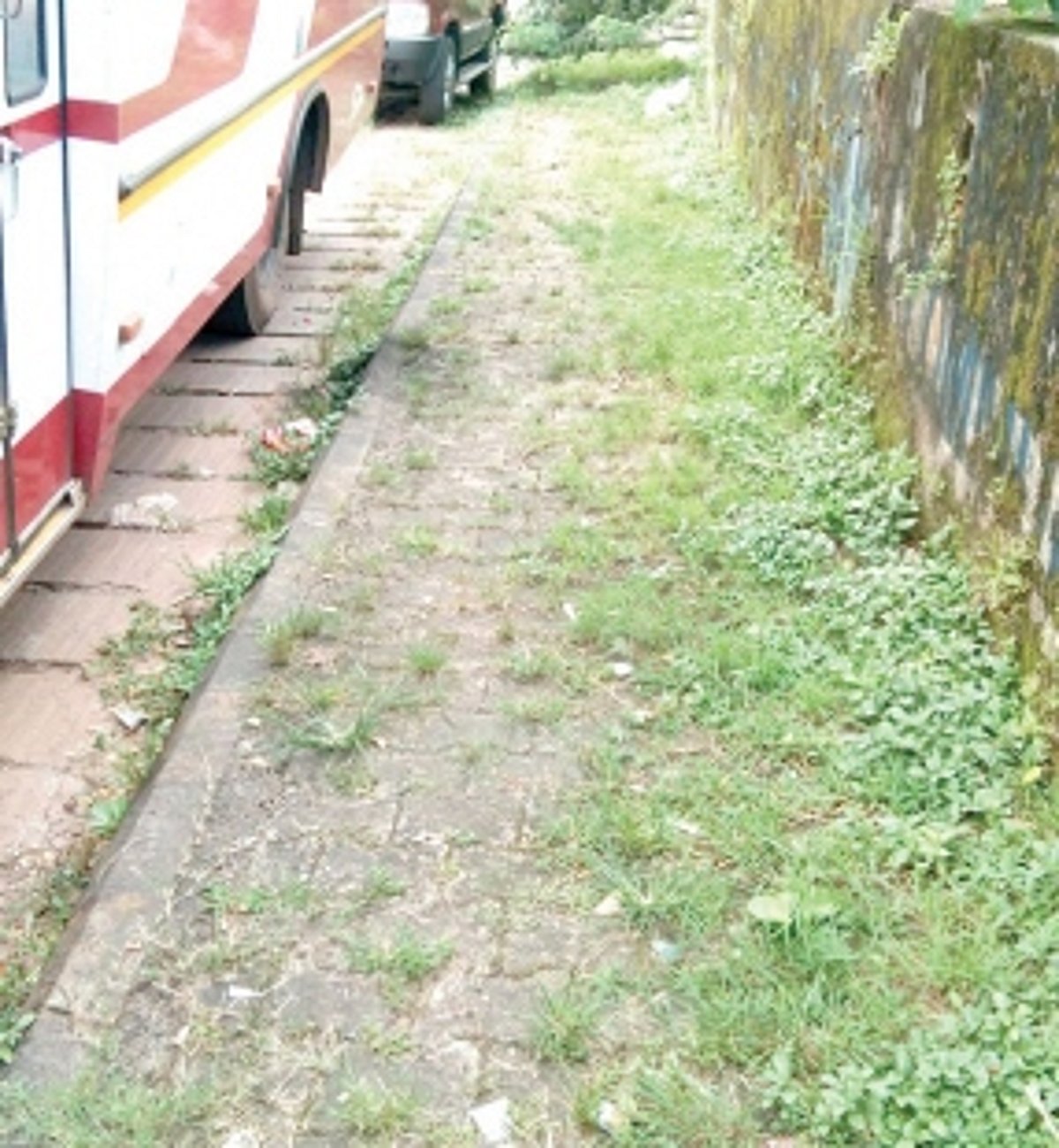 Clear weeds from pavements