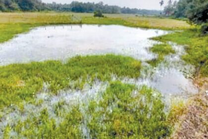 Close bandhara gates early to protect water bodies, demand Assolna ryots