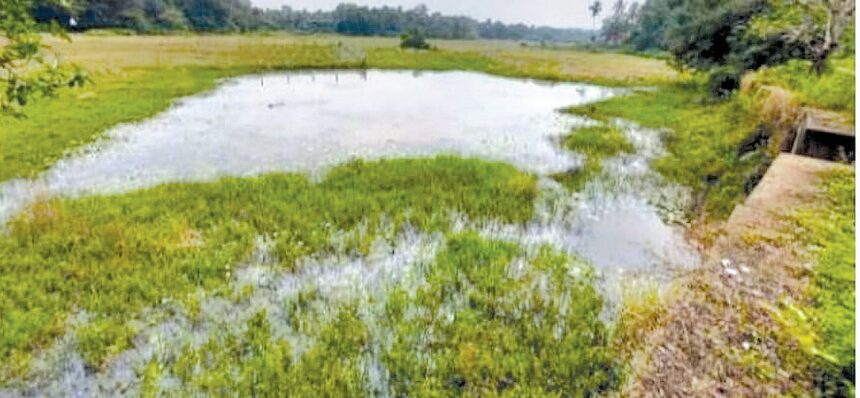 Close bandhara gates early to protect water bodies, demand Assolna ryots 1 Close bandhara gates early to protect water bodies, demand Assolna ryots