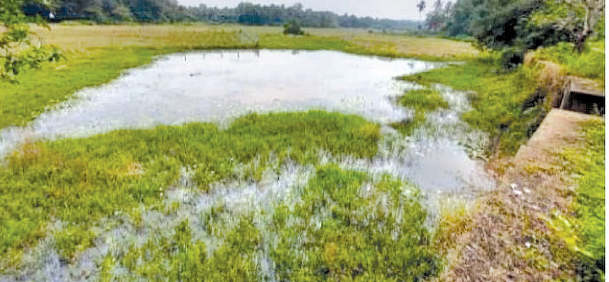 Close bandhara gates early to protect water bodies, demand Assolna ryots
