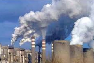 Close fish meal plants in CIE: UGDP