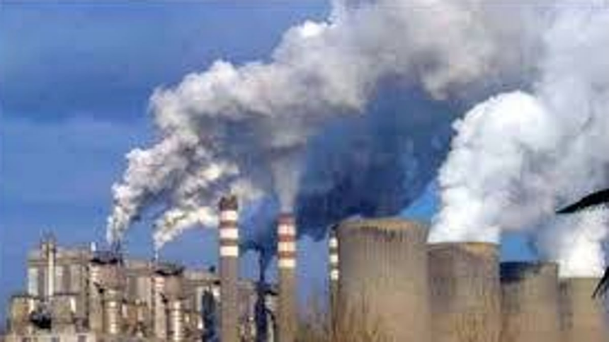 Close fish meal plants in CIE: UGDP