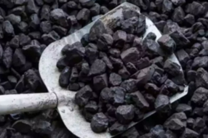 Coal protest is ‘politically driven agenda’: Adani group