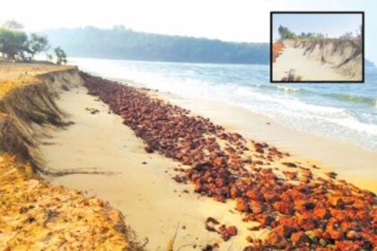Coastal communities urge action as erosion wreaks havoc on Salcete beaches
