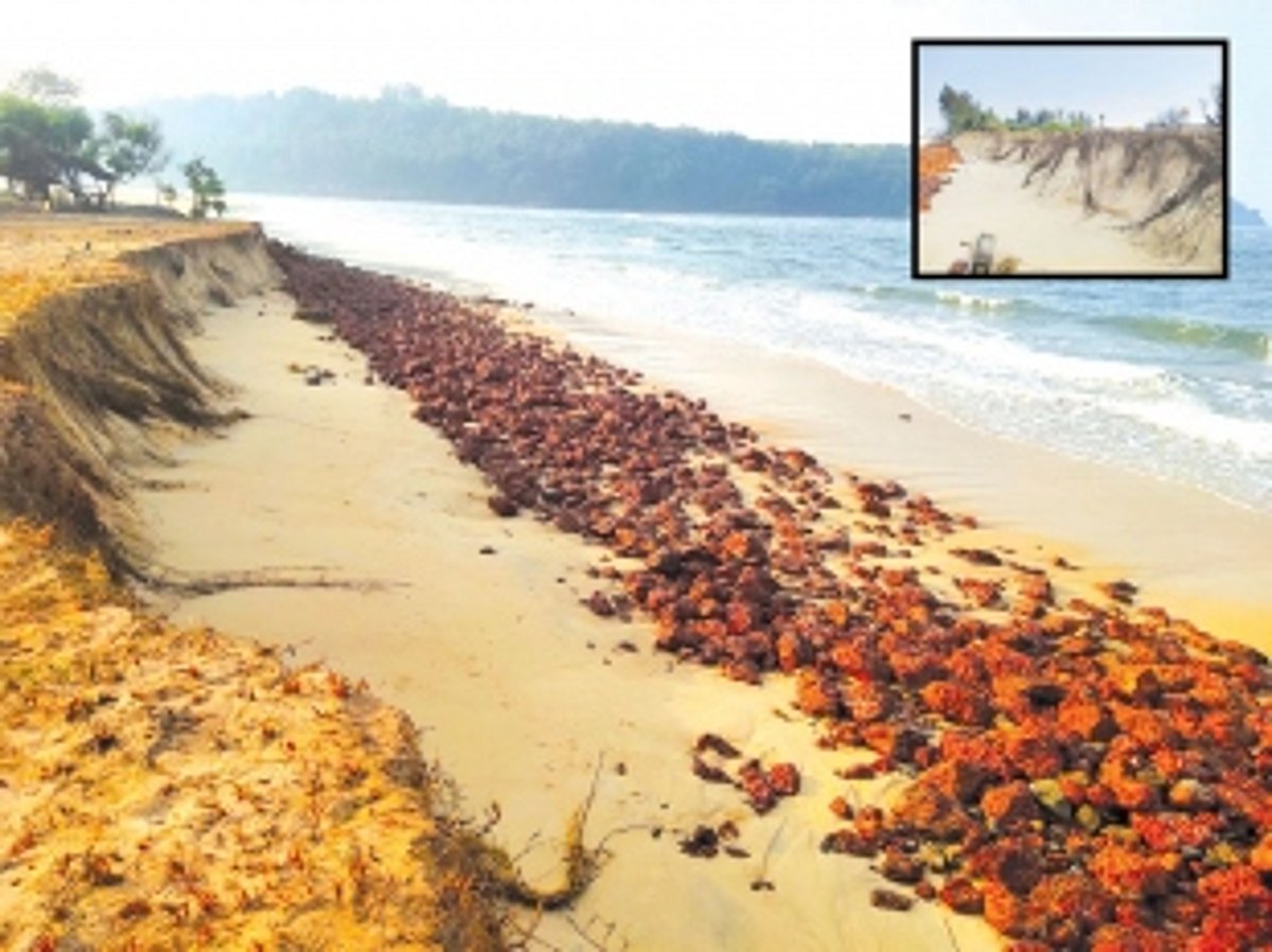 Coastal communities urge action as erosion wreaks havoc on Salcete beaches