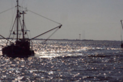 Coastal police clamp down on  illegal fishing activities in Zuari