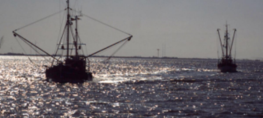 Coastal police clamp down on illegal fishing activities in Zuari