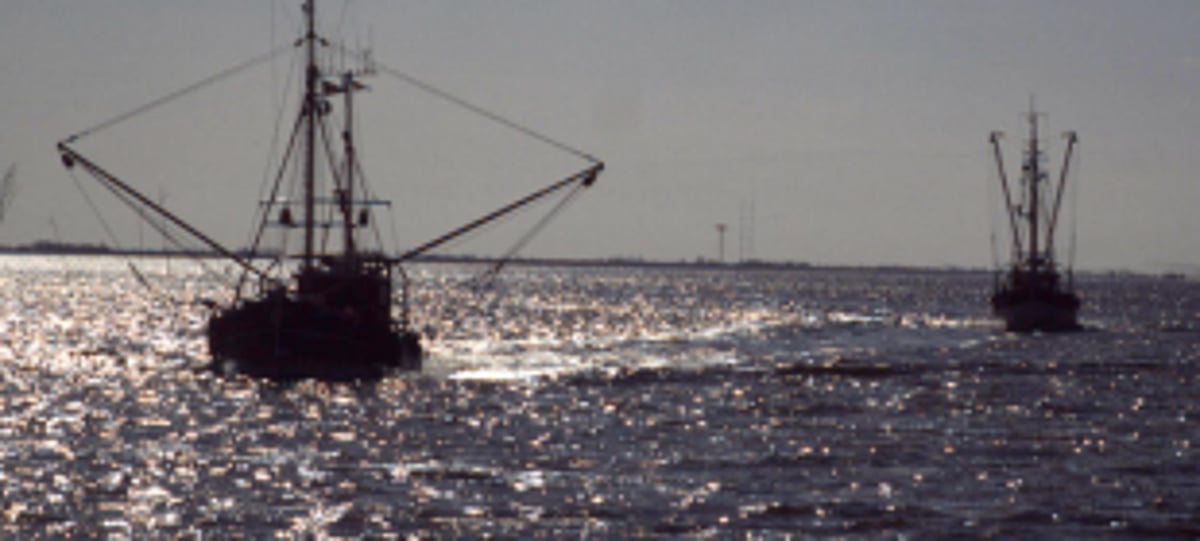 Coastal police clamp down on  illegal fishing activities in Zuari