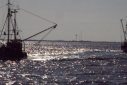 Coastal police clamp down on illegal  fishing in Zuari