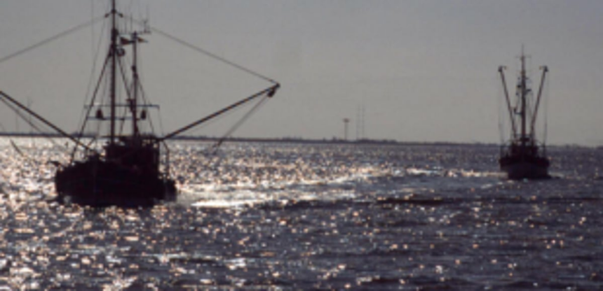 Coastal police clamp down on illegal  fishing in Zuari