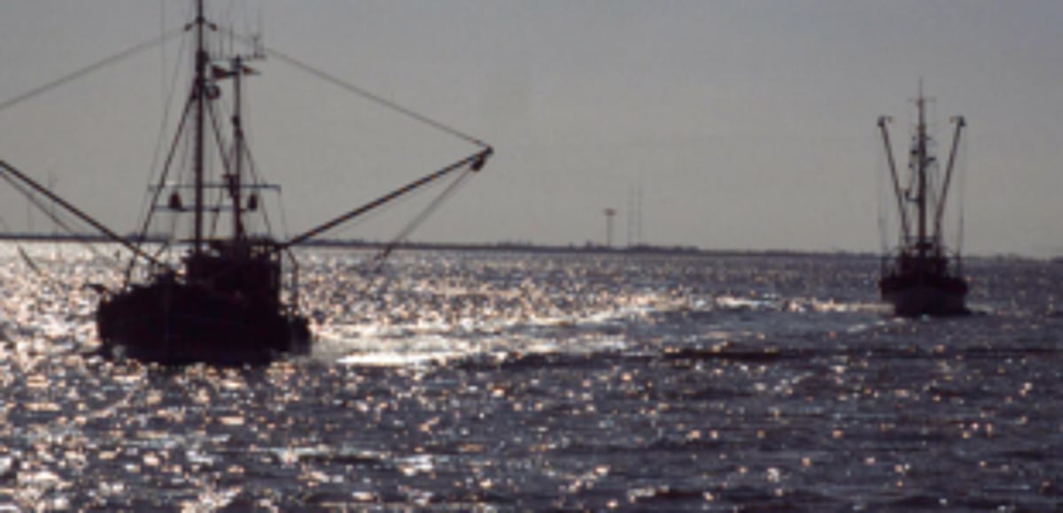 Coastal police clamp down on illegal  fishing in Zuari