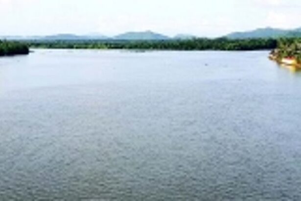 Coastal watchdog slaps Rs 21 lakh fine on Cavelossim property owner for illegal construction on Sal riverbank