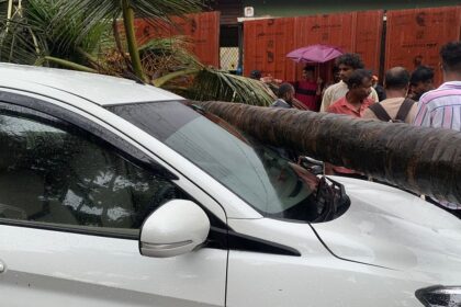 Coconut Tree Falls on Car in Indra Nagar, Chimbel; Vehicle Damaged, No Serious Injuries