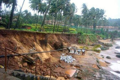 Coconut trees uprooted at Sinquerim in close vicinity of the grounded River Princess.