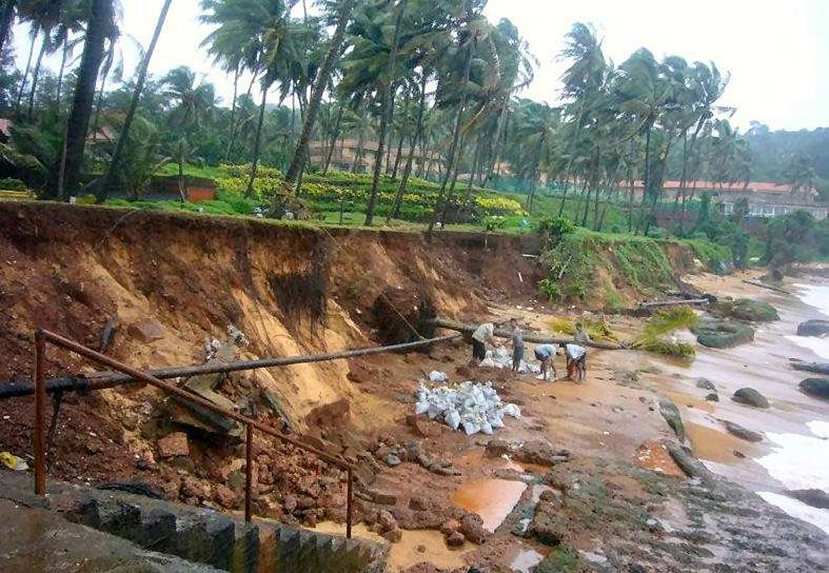 Coconut trees uprooted at Sinquerim in close vicinity of the grounded River Princess.