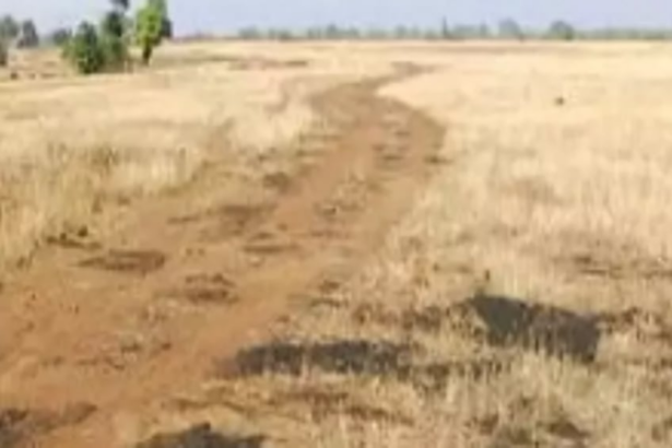 Collector alerted on ‘illegal encroachment’ of Mopa land