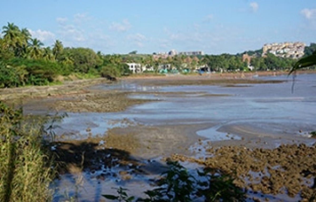 Collector postpones public hearing  on proposed marina in Nauxim