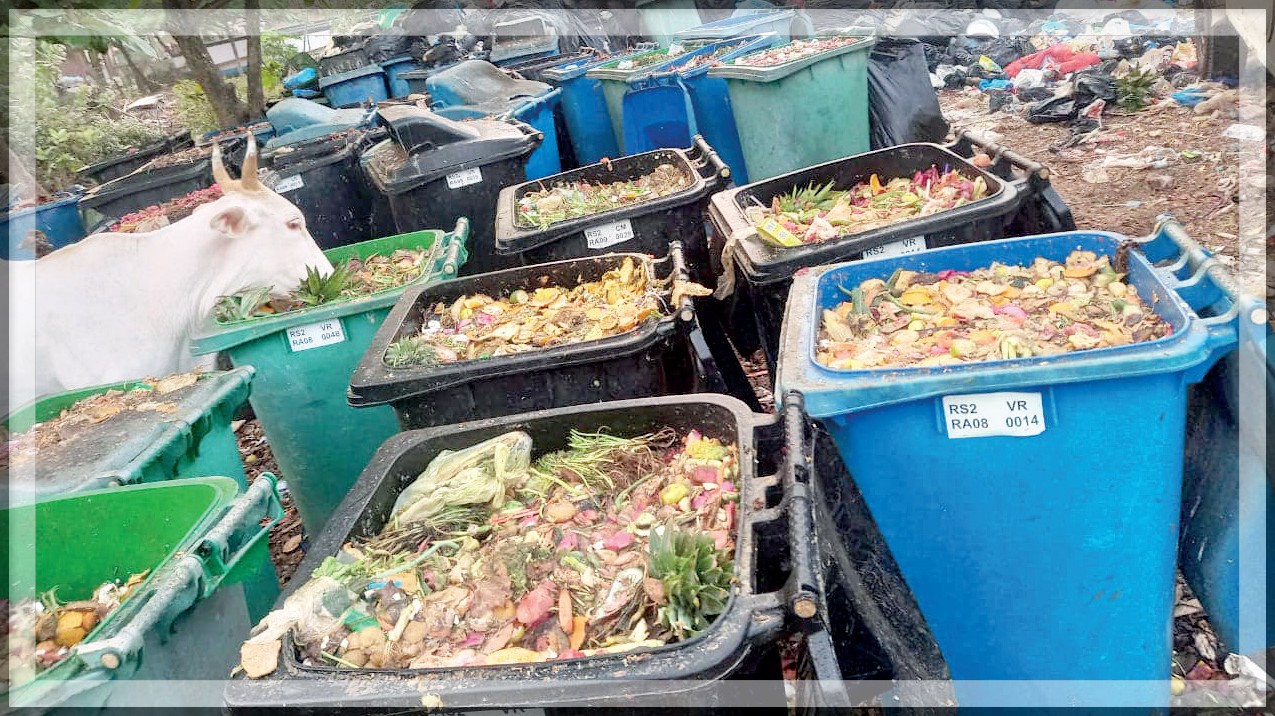 Colva Beach Drowning in Garbage: Forum Criticizes Tourism Department's Inaction
