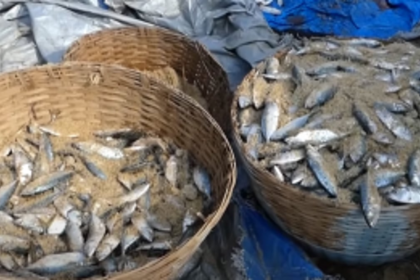 Colva fishermen flustered by dramatic hike in fees for fish drying platforms