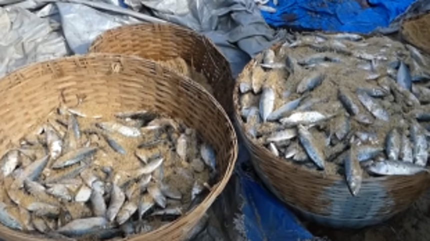 Colva fishermen flustered by dramatic hike in fees for fish drying platforms
