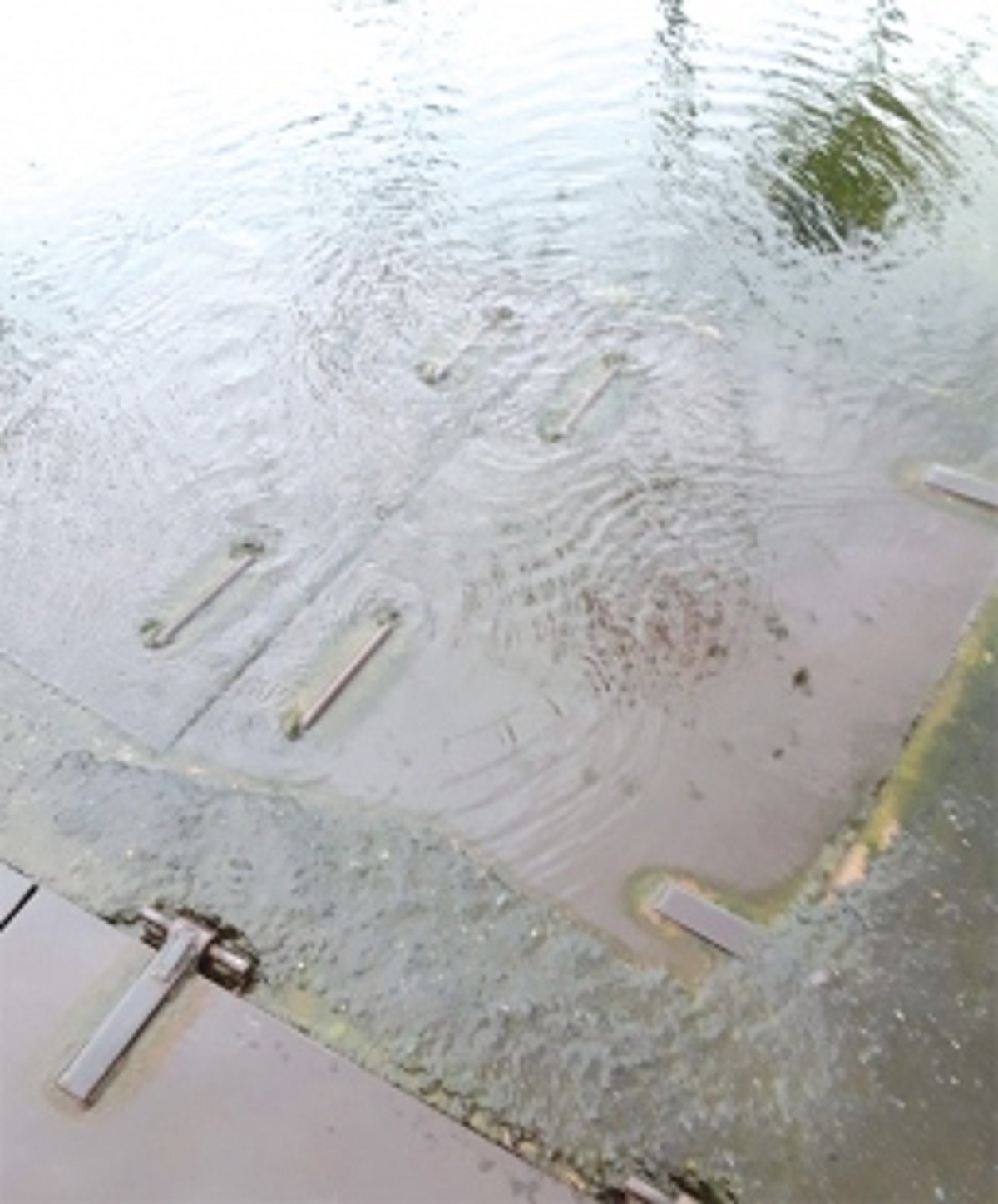 Colva locals face sanitation nightmare as sewage pumping stations overflow