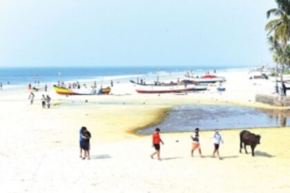 Colva panchayat, local MLA consider monthly contract to keep creek clean