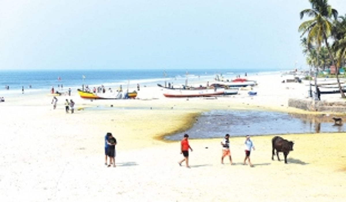 Colva panchayat, local MLA consider monthly contract to keep creek clean