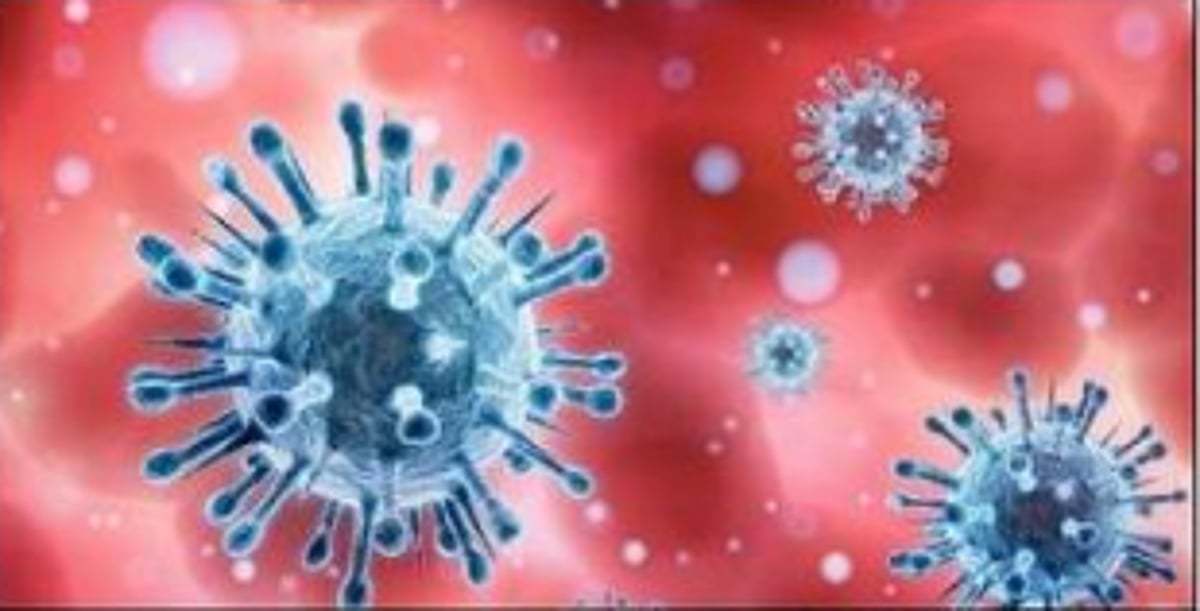 Combating the pandemic scientifically