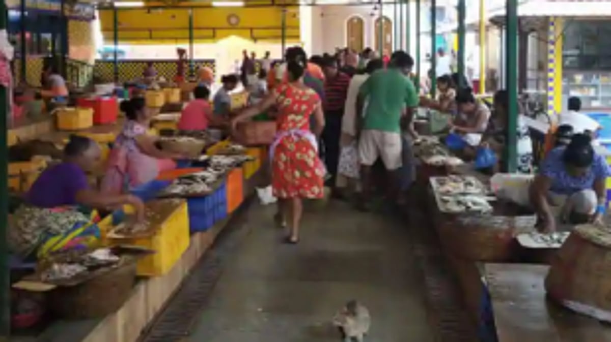 Come Monday, Panjim fish  market to buzz with activity