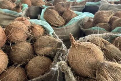 Common man feels the pinch as coconut Prices skyrocket; Farmers, vendors says govt helps them in crisis