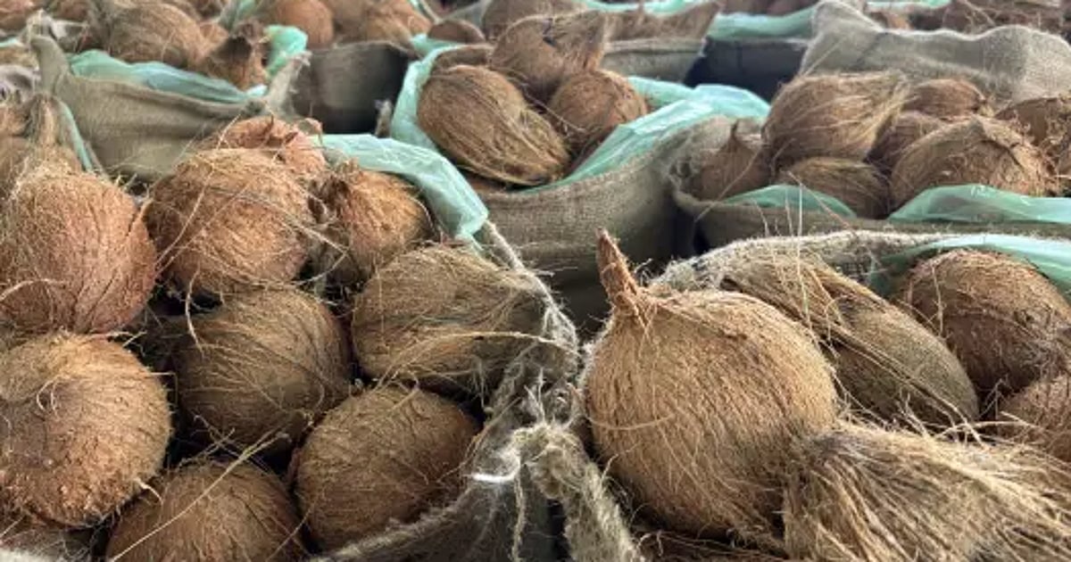 Common man feels the pinch as coconut Prices skyrocket; Farmers, vendors says govt helps them in crisis
