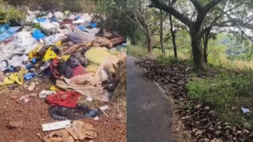 Community Outcry as Chicken and Garbage Waste Dumped Along Mapusa Housing Board to Siolim Road 1 Community Outcry as Chicken and Garbage Waste Dumped Along Mapusa Housing Board to Siolim Road
