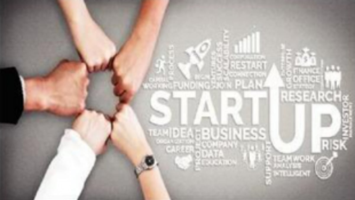 Companies’ wealth & job creation