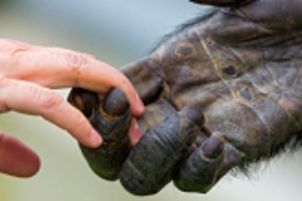 Compassion needed to end human-animal conflict