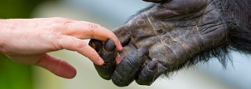 Compassion needed to end human-animal conflict