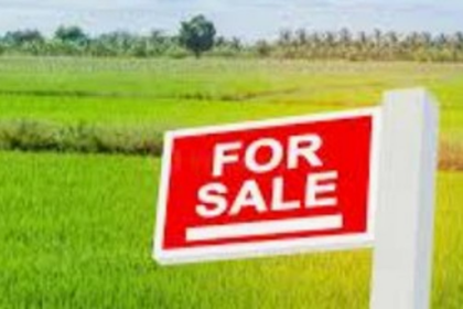 Complaint Filed Over Alleged Large-Scale Forgery of Comunidade Land in Anjuna