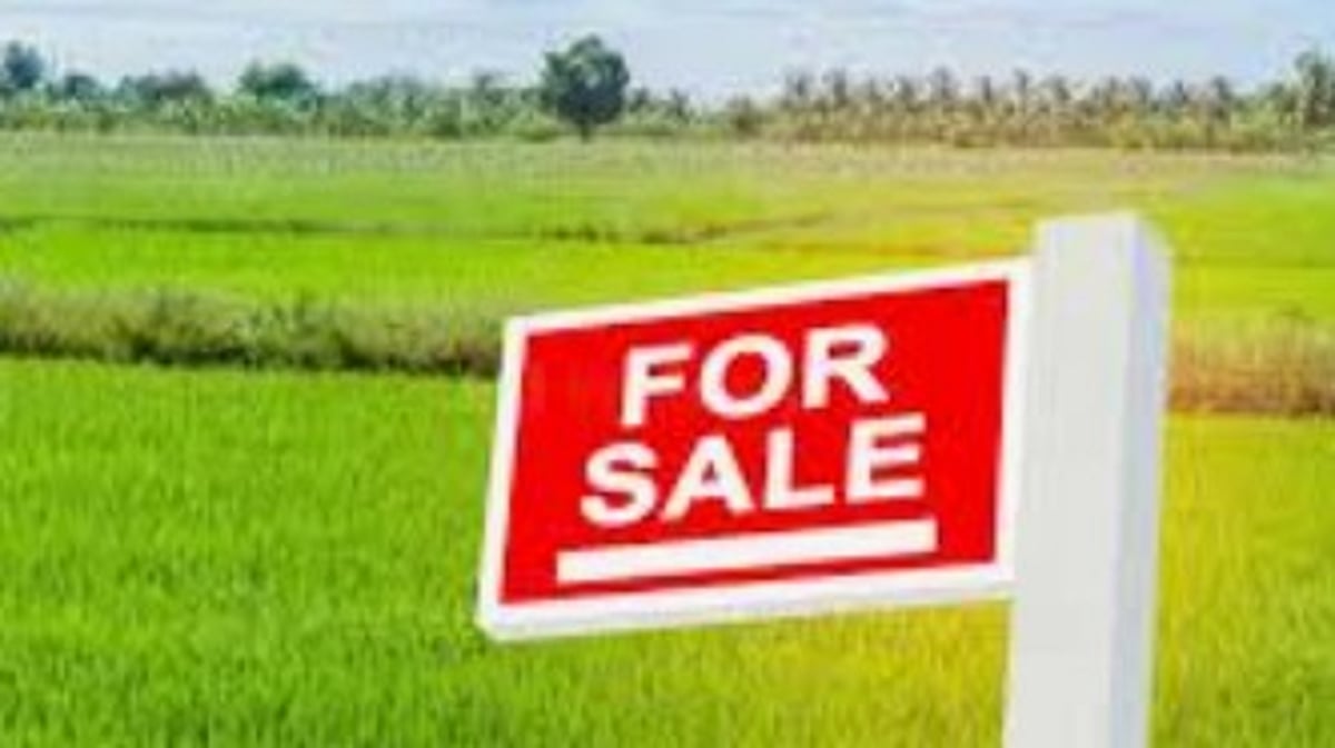 Complaint Filed Over Alleged Large-Scale Forgery of Comunidade Land in Anjuna